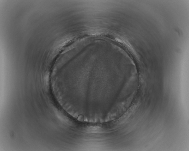 X0000114580066200911091244