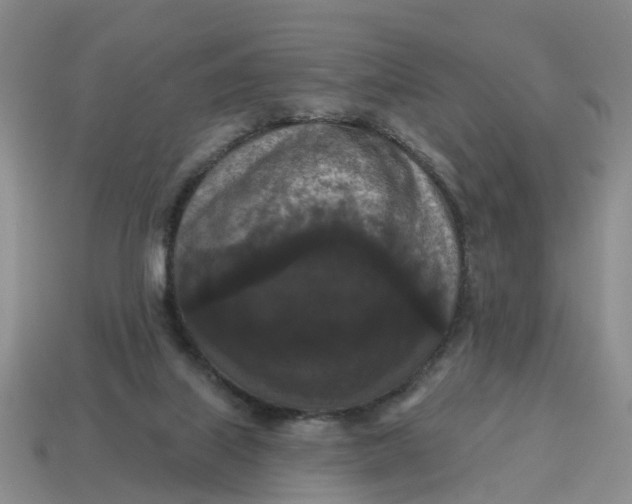 X0000114580067200911091244