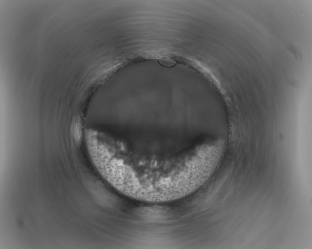 X0000114580069200911091244