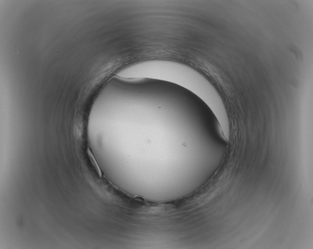 X0000114580072200911091244