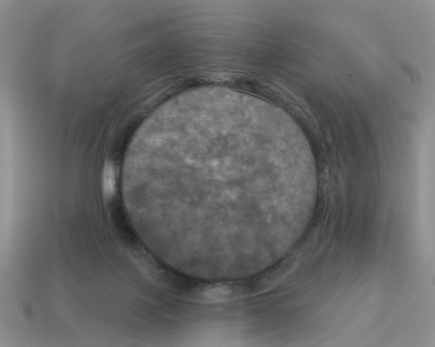 X0000114580075200911091244