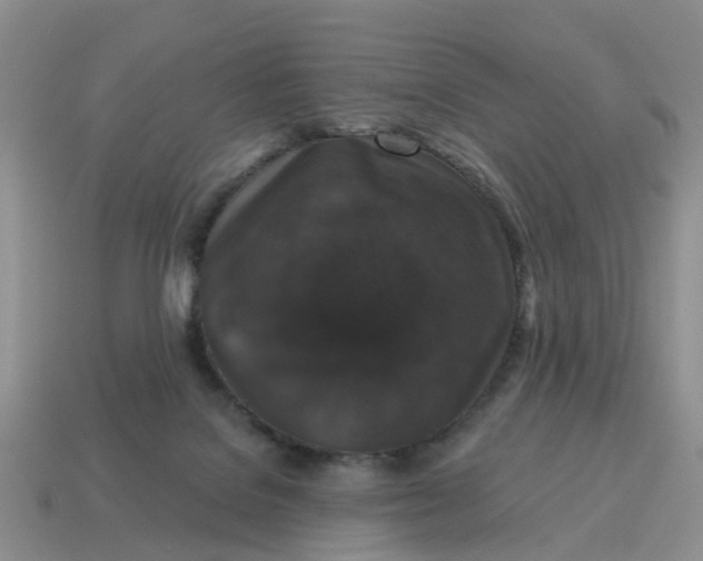 X0000114580076200911091244