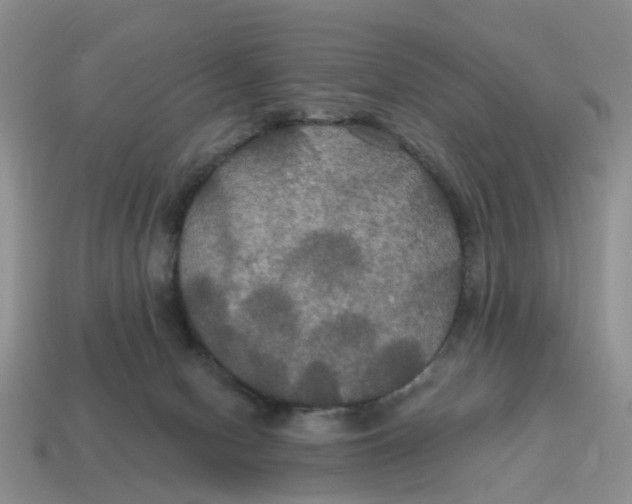 X0000114580078200911091244