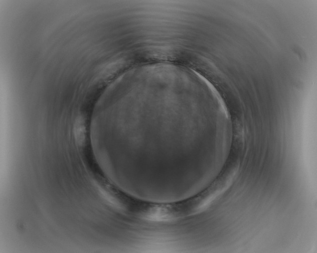 X0000114580080200911091244