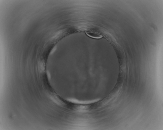 X0000114580081200911091244