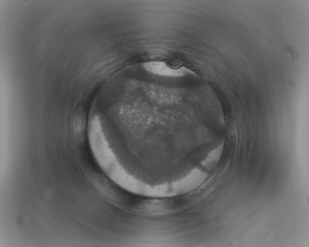 X0000114580082200911091244