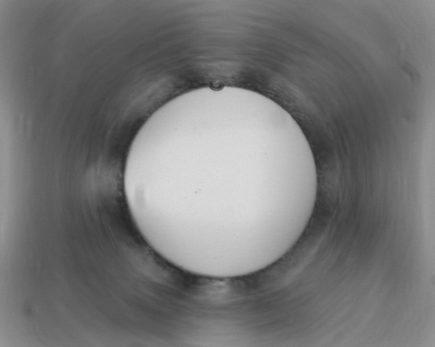 X0000114580083200911091244