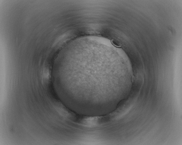 X0000114580084200911091244