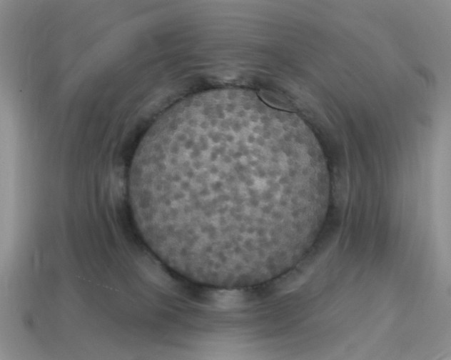 X0000114580085200911091244