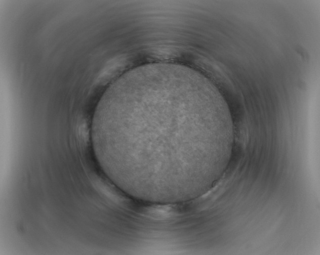 X0000114580086200911091244