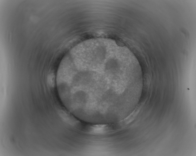 X0000114580090200911091245