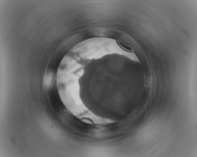 X0000114580095200911091245