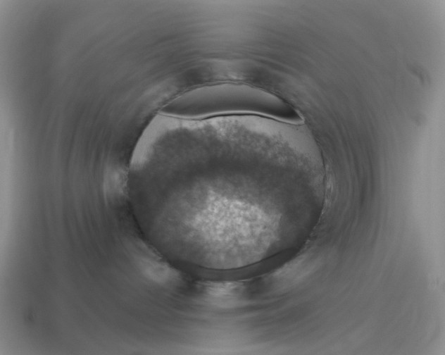 X0000114580096200911091245