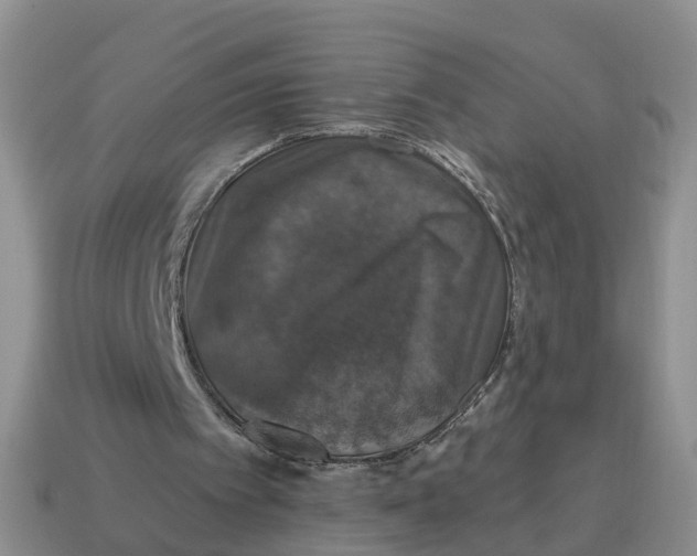 X0000114580097200911091244