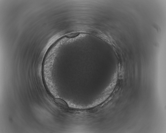 X0000114580099200911091244