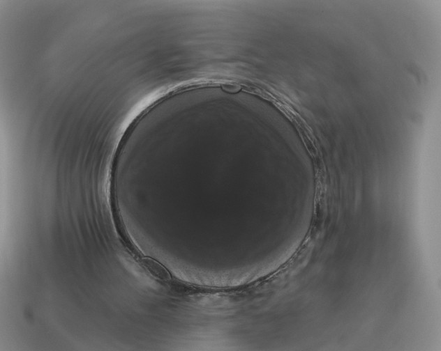 X0000114580100200911091244