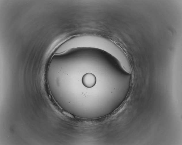 X0000114580101200911091244