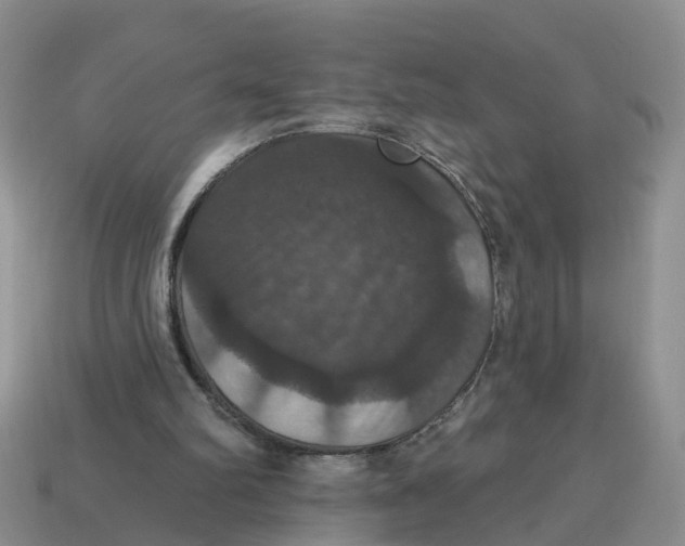 X0000114580102200911091244