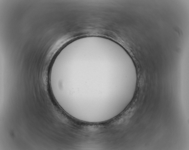 X0000114580103200911091244