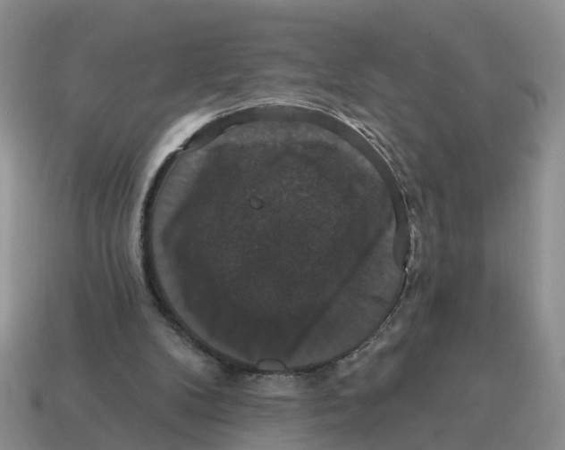 X0000114580104200911091244