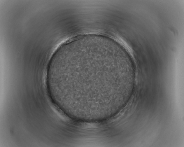 X0000114580107200911091244