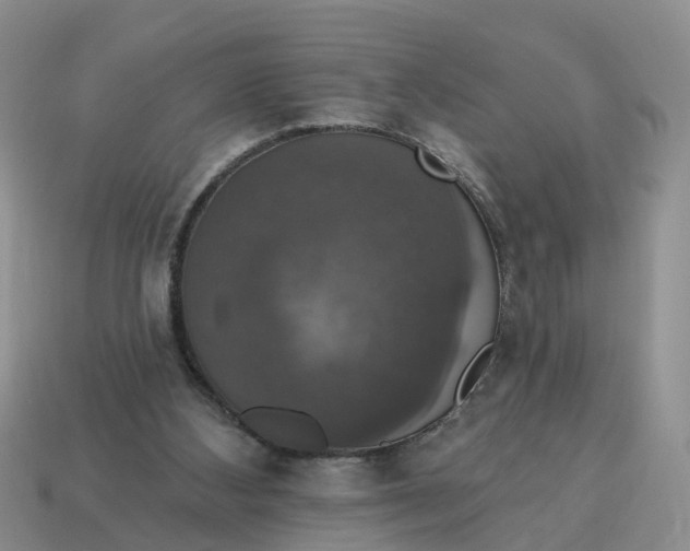 X0000114580108200911091244