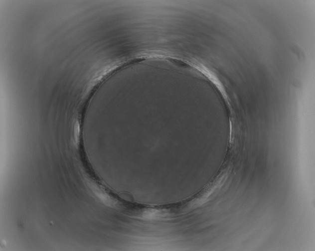 X0000114580109200911091244