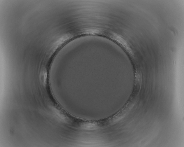 X0000114580110200911091244