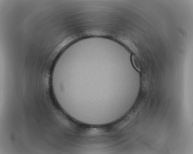 X0000114580111200911091244