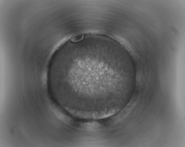 X0000114580112200911091244