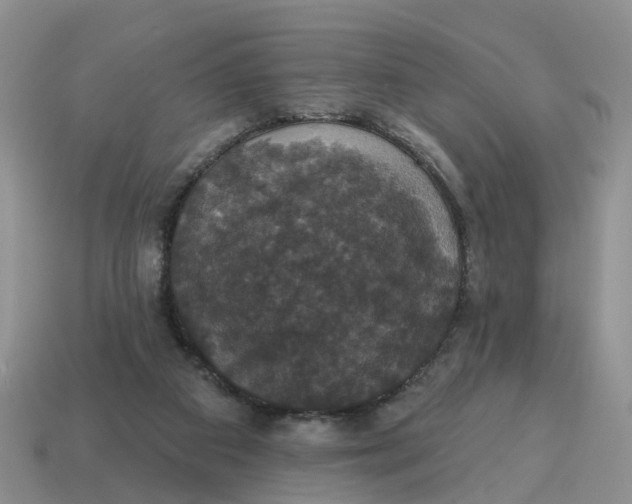 X0000114580113200911091244