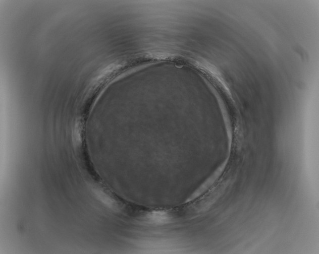 X0000114580114200911091244