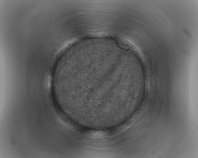 X0000114580115200911091244