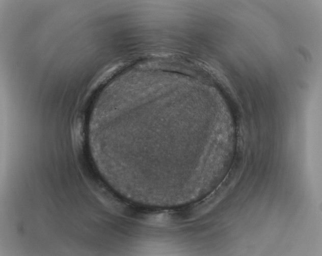 X0000114580116200911091244