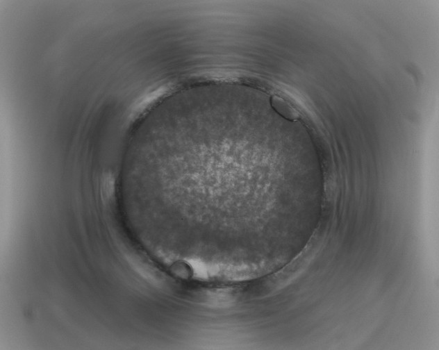 X0000114580120200911091244