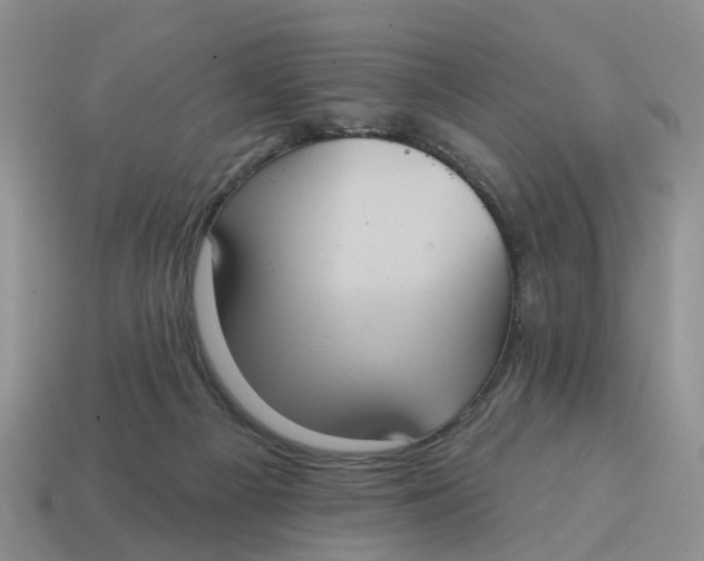 X0000114580121200911091244