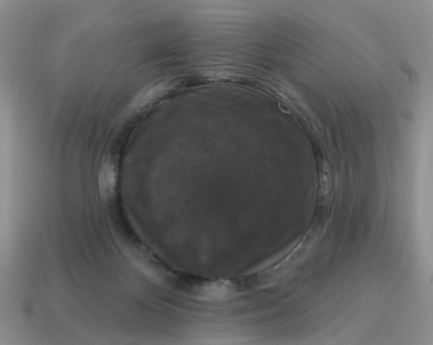 X0000114580124200911091244