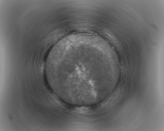 X0000114580125200911091244