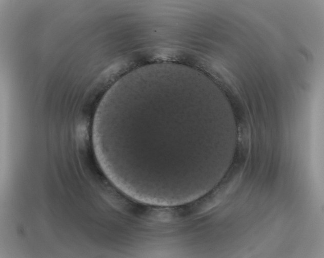 X0000114580127200911091244