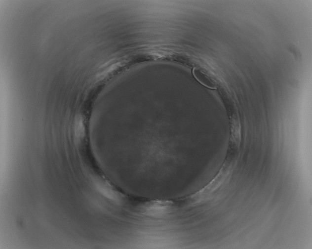 X0000114580128200911091244