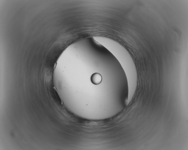 X0000114580129200911091244