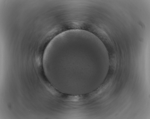 X0000114580131200911091244