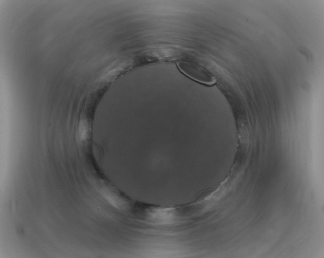 X0000114580132200911091244