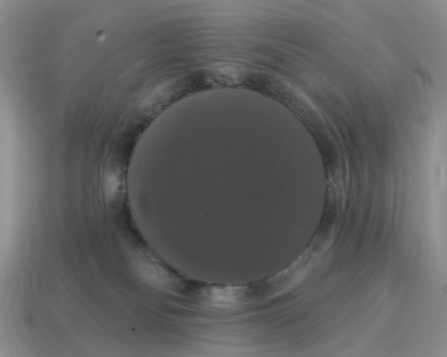 X0000114580134200911091243