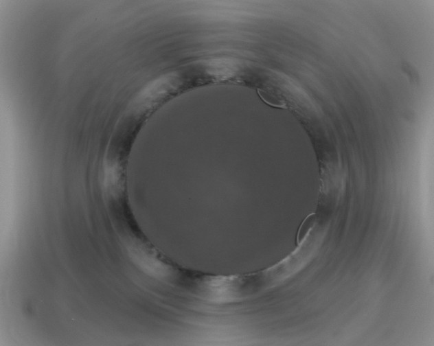 X0000114580136200911091243