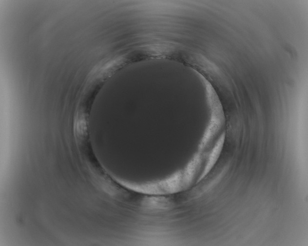 X0000114580137200911091243