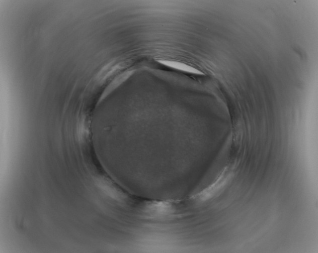 X0000114580140200911091243