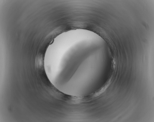 X0000114580143200911091243