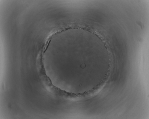 X0000114580144200911091243