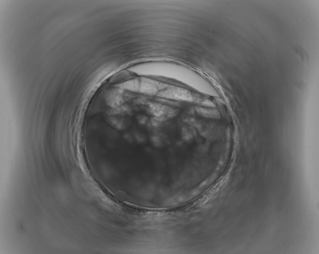 X0000114580145200911091243